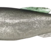 Megabass Magdraft 8 Inch Soft Swimbait 1 Megabass Magdraft 8 Inch Soft Swimbait -Fishing Promotion Store magdraft8 01 ayu l 95da73d3 be9c 4827 9936 9afc2dcc086f