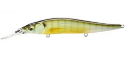 Megabass Ito Vision 110 + 1 Jerkbait 28 Megabass Ito Vision 110 + 1 Jerkbait -Fishing Promotion Store megabass ito vision 110 plus 1 gill zoom 5283cc48 8c38 43d0 84c5 21d031cff903