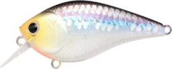 Lucky Craft LC 2.5 Shallow Squarebill Crankbait 35 Lucky Craft LC 2.5 Shallow Squarebill Crankbait -Fishing Promotion Store ms 2Bimpulse 2Bshad