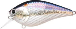 Lucky Craft LC 2.5 Shallow Squarebill Crankbait 34 Lucky Craft LC 2.5 Shallow Squarebill Crankbait -Fishing Promotion Store ms american shad