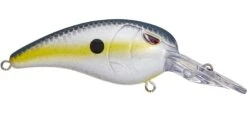 SPRO Mike McClelland RkCrawler 50 Medium Diving Crankbait 37 SPRO Mike McClelland RkCrawler 50 Medium Diving Crankbait -Fishing Promotion Store nasty shad e0f5b9bf 3078 4f20 ad2c 610ccbec7fea
