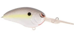 SPRO John Crews Little John DD 60 Deep Diving Crankbait 27 SPRO John Crews Little John DD 60 Deep Diving Crankbait -Fishing Promotion Store nasty shad 82d6f8df 570c 40e9 8e91 6e474e5f7e08