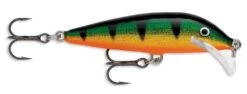 Rapala SRCD07 Scatter Rap Countdown 07 Balsa Minnow 25 Rapala SRCD07 Scatter Rap Countdown 07 Balsa Minnow -Fishing Promotion Store perch e4fa1e92 040f 41b2 97a5 7e25cb6229df