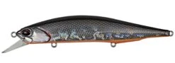 Duo Realis Jerkbait 110SP Suspending 33 Duo Realis Jerkbait 110SP Suspending -Fishing Promotion Store prism shad 8b7f7310 1bc7 4a23 8014 52988529c47b