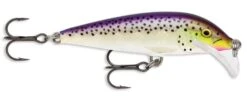 Rapala SRCD07 Scatter Rap Countdown 07 Balsa Minnow 26 Rapala SRCD07 Scatter Rap Countdown 07 Balsa Minnow -Fishing Promotion Store purpledescent