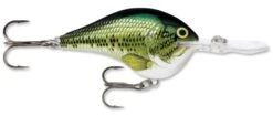 Rapala DT Series Crankbait DT14 23 Rapala DT Series Crankbait DT14 -Fishing Promotion Store rapala dt10 baby bass 49b21730 50b6 41d5 9388 7234feb62066