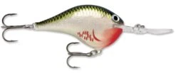 Rapala DT Series Crankbait DT14 25 Rapala DT Series Crankbait DT14 -Fishing Promotion Store rapala dt10 bleeding olive shiner 070d001b e721 4ee2 9f5c ce93a9d12d56