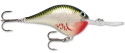 Rapala DT Series Crankbait DT10 25 Rapala DT Series Crankbait DT10 -Fishing Promotion Store rapala dt10 bleeding olive shiner dbe97a01 c0fb 484c a461 9310afc63e60