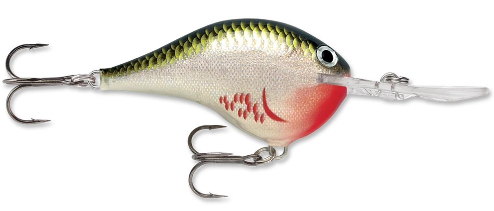 Rapala DT Series Crankbait DT10 6 Rapala DT Series Crankbait DT10 - Image 4