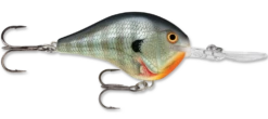Rapala DT Series Crankbait DT10 26 Rapala DT Series Crankbait DT10 -Fishing Promotion Store rapala dt10 bluegill 14060d7f 983d 4150 b3b3 98c3dbb838ee
