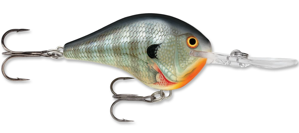 Rapala DT Series Crankbait DT10 7 Rapala DT Series Crankbait DT10 - Image 5