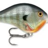 Rapala DT Series Crankbait DT14 1 Rapala DT Series Crankbait DT14 -Fishing Promotion Store rapala dt10 bluegill 98c0ebc5 e23f 49ee 9c06 51cbf38bd703