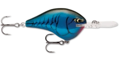 Rapala DT Series Crankbait DT10 34 Rapala DT Series Crankbait DT10 -Fishing Promotion Store rapala dt10 bruised d7e3e162 b99f 496e b906 4045c9fc3e2d