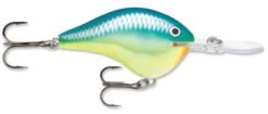 Rapala DT Series Crankbait DT14 29 Rapala DT Series Crankbait DT14 -Fishing Promotion Store rapala dt10 caribbean shad 257fc072 197c 4274 86ed 0ef950c63cc0