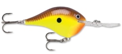 Rapala DT Series Crankbait DT10 28 Rapala DT Series Crankbait DT10 -Fishing Promotion Store rapala dt10 chartreuse brown 5eab1191 3018 44e6 af2e 3021c1fbb2a5