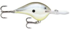 Rapala DT Series Crankbait DT14 34 Rapala DT Series Crankbait DT14 -Fishing Promotion Store rapala dt10 disco shad f51a7126 74c3 492b 9cd5 31ab8f430d8a