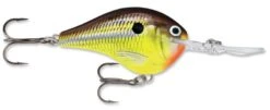 Rapala DT Series Crankbait DT14 38 Rapala DT Series Crankbait DT14 -Fishing Promotion Store rapala dt10 hot mustard 02f0ad77 dcc4 488f 98e0 686fa6c67e93