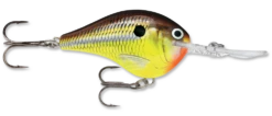 Rapala DT Series Crankbait DT10 33 Rapala DT Series Crankbait DT10 -Fishing Promotion Store rapala dt10 hot mustard fa87ee8c 94de 4e93 8db4 8754b6710112