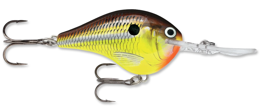 Rapala DT Series Crankbait DT10 14 Rapala DT Series Crankbait DT10 - Image 12