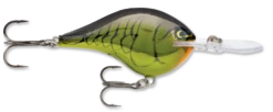 Rapala DT Series Crankbait DT10 39 Rapala DT Series Crankbait DT10 -Fishing Promotion Store rapala dt10 mardi gras 1c7fabf0 d26d 47d8 9fdf c1e4f6aad69d