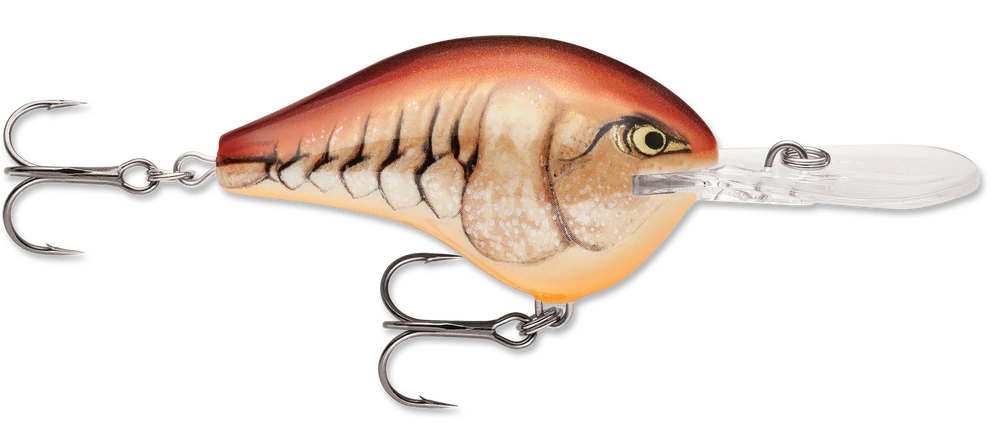 Rapala DT Series Crankbait DT10 21 Rapala DT Series Crankbait DT10 - Image 19