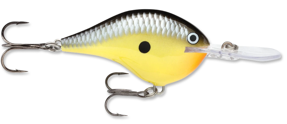 Rapala DT Series Crankbait DT10 22 Rapala DT Series Crankbait DT10 - Image 20