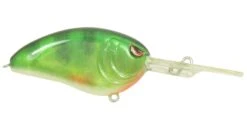 SPRO John Crews Little John DD 60 Deep Diving Crankbait 35 SPRO John Crews Little John DD 60 Deep Diving Crankbait -Fishing Promotion Store real perch dd 60