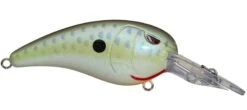 SPRO Mike McClelland RkCrawler MD 55 Medium Diving Crankbait 34 SPRO Mike McClelland RkCrawler MD 55 Medium Diving Crankbait -Fishing Promotion Store rs c0c1e660 d2e1 4c5f afb0 4923ac81f101