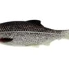Westin Ricky The Roach 2 3/4 Inch Soft Paddle Tail Swimbait 5 Pack 1 Westin Ricky The Roach 2 3/4 Inch Soft Paddle Tail Swimbait 5 Pack -Fishing Promotion Store s l1600 426af401 7ed7 4cc4 9475 b6f3884ba0af