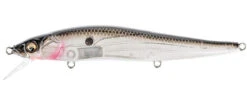 Megabass Ito Vision 110 Silent Jerkbait 31 Megabass Ito Vision 110 Silent Jerkbait -Fishing Promotion Store s l1600 55e043c9 61fe 4371 8f36 288715d2b336