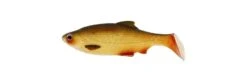 Westin Ricky The Roach 2 3/4 Inch Soft Paddle Tail Swimbait 5 Pack -Fishing Promotion Store s l1600 5da73f45 ee26 4f3c 9294 e1e9a25eb1f1