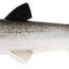Westin HypoTeez ST Soft Paddle Tail Swimbait 2 Westin HypoTeez ST Soft Paddle Tail Swimbait -Fishing Promotion Store s l500 e893cb60 9c98 49dd bec8 cc0d8e119907