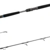 Daiwa Saltiga Jigging Series Spinning Rods 1 Daiwa Saltiga Jigging Series Spinning Rods -Fishing Promotion Store saltiga spin main
