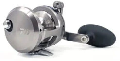 Daiwa Saltiga Star Drag 20/30/35/40/50 Conventional Reels 12 Daiwa Saltiga Star Drag 20/30/35/40/50 Conventional Reels -Fishing Promotion Store saltigastar1 600x600 jpg