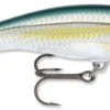 Rapala Scatter Rap 09 Tail Dancer Deep Diving Crankbait 1 Rapala Scatter Rap 09 Tail Dancer Deep Diving Crankbait -Fishing Promotion Store scatter rap tail dancer bleak a2bf356b 4037 45e3 8440 bbcf5b573540