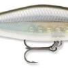 Rapala Shadow Rap Shad Deep 09 Jerkbait 2 Rapala Shadow Rap Shad Deep 09 Jerkbait -Fishing Promotion Store sdrsd09ghsh Ghost Shiner 52772480 e43d 4f6a 8453 9d72d714b76b