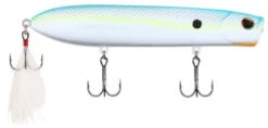 Berkley Cane Walker 5 Inch Topwater Walker/Popper 40 Berkley Cane Walker 5 Inch Topwater Walker/Popper -Fishing Promotion Store sexy back 800d33a6 e4e5 4a85 b60e 8ff4e9ba736f