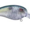 SPRO Mike McClelland RkCrawler 50 Medium Diving Crankbait 1 SPRO Mike McClelland RkCrawler 50 Medium Diving Crankbait -Fishing Promotion Store sparkle shad