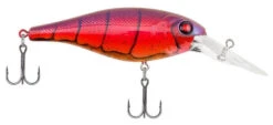 Berkley Bad Shad Medium Diving Crankbait 38 Berkley Bad Shad Medium Diving Crankbait -Fishing Promotion Store special red craw
