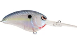 SPRO John Crews Little John DD 60 Deep Diving Crankbait 32 SPRO John Crews Little John DD 60 Deep Diving Crankbait -Fishing Promotion Store spooky nasty 4c6eb988 d4bd 4c23 a702 b4c240bbfe7c