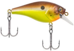 Berkley SquareBull 2 3/8 Inch Shallow Squarebill Crankbait 26 Berkley SquareBull 2 3/8 Inch Shallow Squarebill Crankbait -Fishing Promotion Store squarebull brown mustard 81da5849 8ea2 4f4e b46f 0980ead1b2b1