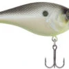 Berkley SquareBull 2 3/8 Inch Shallow Squarebill Crankbait 1 Berkley SquareBull 2 3/8 Inch Shallow Squarebill Crankbait -Fishing Promotion Store squarebull chameleon pearl edde6e06 c7d7 4ce1 91dd 058d9e3eaac2