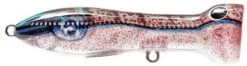 Nomad Design Chug Norris Freshwater/Inshore Popper 36 Nomad Design Chug Norris Freshwater/Inshore Popper -Fishing Promotion Store squid surprise