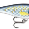 Rapala Super Shad Rap 5 1/2 Inch Crankbait 2 Rapala Super Shad Rap 5 1/2 Inch Crankbait -Fishing Promotion Store ssr14scrb