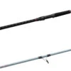 Daiwa Team Daiwa Spinning Surf Rods 1 Daiwa Team Daiwa Spinning Surf Rods -Fishing Promotion Store teamdaiwasurf.JPG a0dddbb9 5def 4405 916c beed396e121f