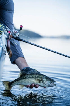 Temple Fork Outfitters Tactical Elite Bass Baitcasting Rods 24 Temple Fork Outfitters Tactical Elite Bass Baitcasting Rods -Fishing Promotion Store tfo tactical elite bass bottom banner lifestyle 1 1