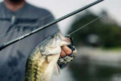 Temple Fork Outfitters Tactical Elite Bass Baitcasting Rods 19 Temple Fork Outfitters Tactical Elite Bass Baitcasting Rods -Fishing Promotion Store tfo tactical elite bass bottom banner lifestyle 5 1