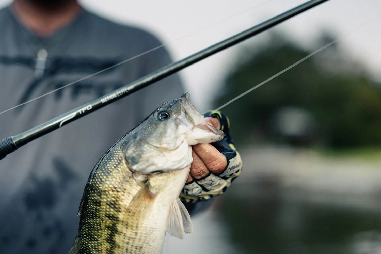 Temple Fork Outfitters Tactical Elite Bass Baitcasting Rods 8 Temple Fork Outfitters Tactical Elite Bass Baitcasting Rods - Image 6