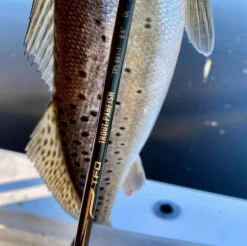 Temple Fork Outfitters Trout-Panfish Spinning Rods 26 Temple Fork Outfitters Trout-Panfish Spinning Rods -Fishing Promotion Store tfo trout panfish spots