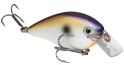 Strike King KVD Magnum Square Bill 8.0 Silent Crankbaits 39 Strike King KVD Magnum Square Bill 8.0 Silent Crankbaits -Fishing Promotion Store tn shad 2.0